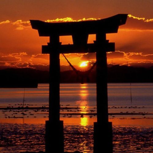 japon-torii-vendôme